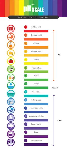 La escala de pH Indicador universal pH Diagrama de carta de colores — Vector de stock