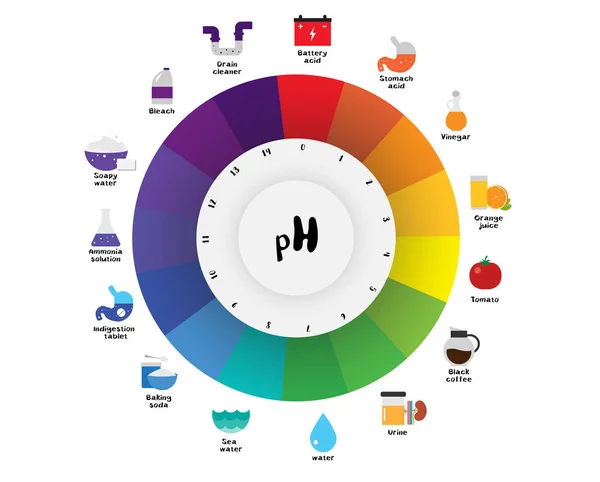 A ph skála univerzális jelző ph színskála diagram — Stock Vector