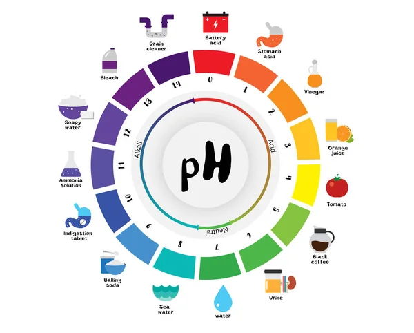 ระดับค่า pH ตัวบ่งชี้สากล แผนภูมิสีค่า pH — ภาพเวกเตอร์สต็อก