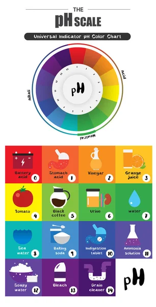 La escala de pH Indicador universal pH Diagrama de carta de colores — Archivo Imágenes Vectoriales