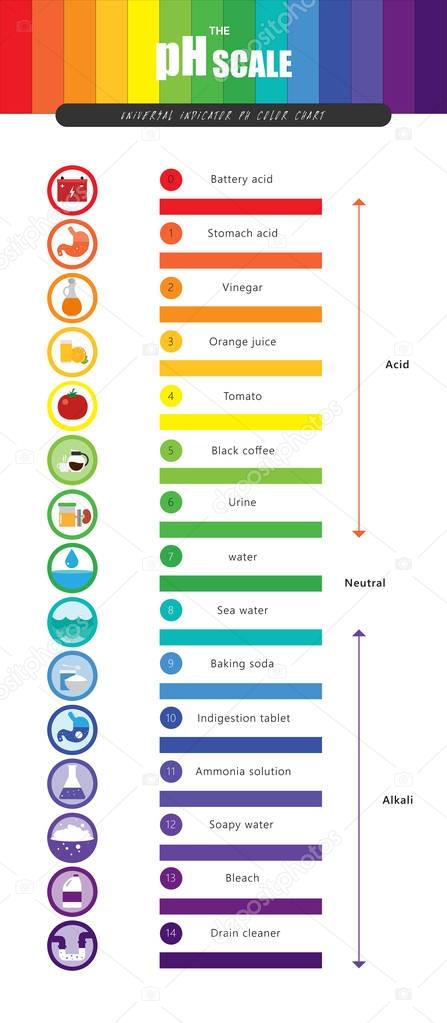 The pH scale Universal Indicator pH Color Chart diagram  