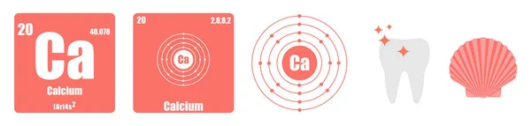 元素 Ii. 碱性地球金属的周期性表 — 图库矢量图片