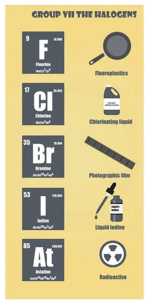 Tabla periódica del elemento grupo VII Los halógenos — Vector de stock