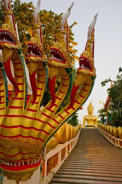 Big Buddha Hill'e