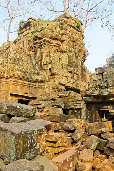 Camboja, Angkor - Ta Prohm — Fotografia de Stock