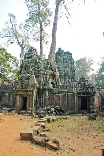 Kambodža, Siem Reap, Leden 22nd, 2014, Angkor - Ta Prohm — Stock fotografie