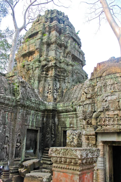 Cambodia, Angkor - Ta Prohm — Stock fotografie