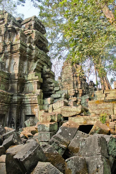 Camboja, Angkor - Ta Prohm — Fotografia de Stock