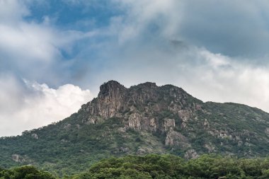 Aslan Rock, dağ o görünüyor aslan Hong Kong, Hong Kong ruhu sembolü biri bulunur
