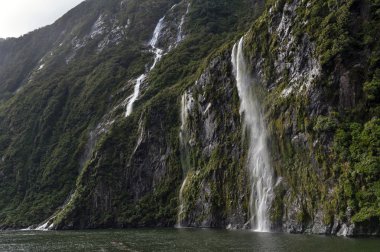 Milford Sound / Piopiotahi, Fiordland Milli Parkı içinde, Yeni Zelanda'nın Güney Adası'nın güney batısında bir fiord