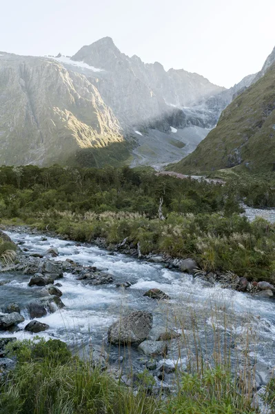 Natursköna jakt i Hollyford Valley på Monkey Creek på Milford vägen till Milford Sound, Nya Zeeland — Stockfoto