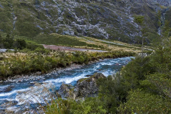 Visita panorâmica de Hollyford Valley em Monkey Creek na Milford Road para Milford Sound, Nova Zelândia — Fotografia de Stock