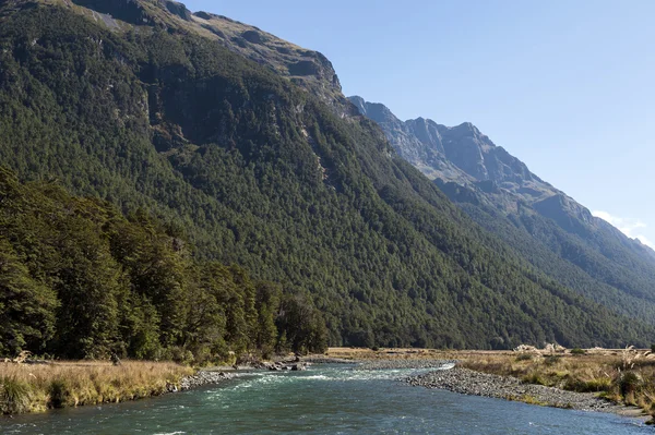 Mackay creek, fiordland nationalpark, Northern fiordland, mit blick auf das eglinton tal, an der milford road, südinsel neuseelands — Stockfoto