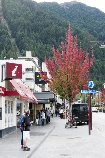 Queenstown, Nový Zéland - březen 2016: javorový strom v ulici obchodní čtvrti Queenstown, Jižní ostrov Nového Zélandu — Stock fotografie