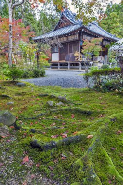 Kyoto Sekizan Zen, Japon tapınakta sonbahar sırasında