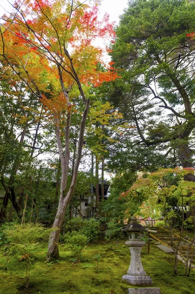 Kleurrijke bladeren in Japanse tuin in Kyoto tijdens de herfst — Stockfoto