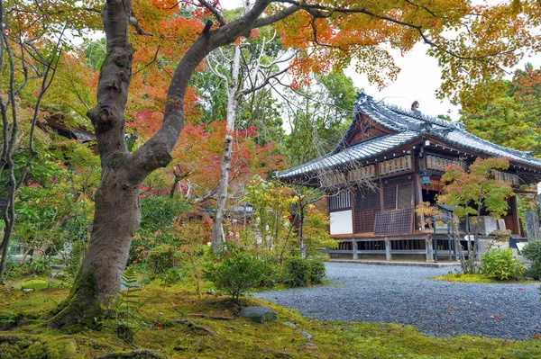 秋に京都で赤禅、日本寺 — ストック写真
