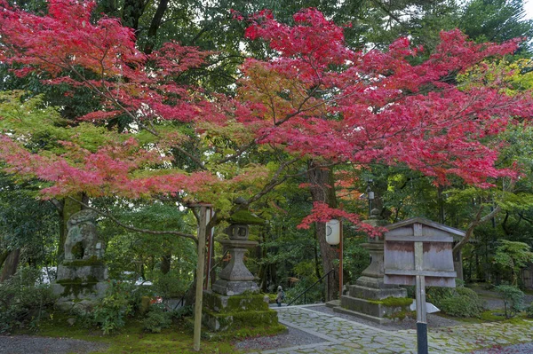 Kyoto Sekizan Zen, Japon tapınakta sonbahar sırasında