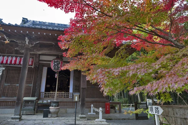 秋に京都で赤禅、日本寺 — ストック写真