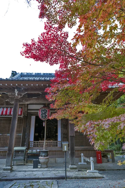 Sekizan Zen, japonský chrám v Kjótu během podzimu — Stock fotografie