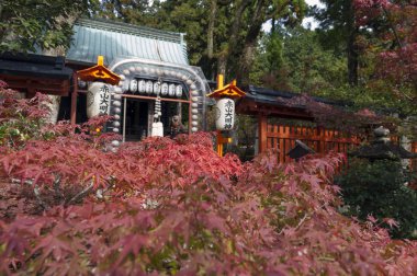 Kyoto Sekizan Zen, Japon tapınakta sonbahar sırasında