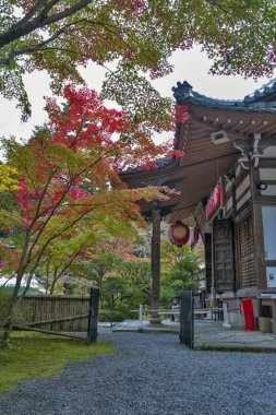 Kyoto Sekizan Zen, Japon tapınakta sonbahar sırasında