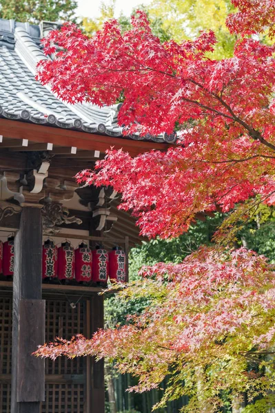 秋に京都で赤禅、日本寺 — ストック写真