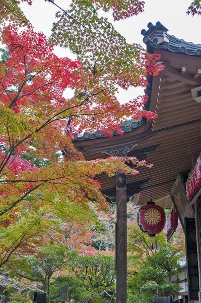 秋に京都で赤禅、日本寺 — ストック写真