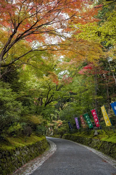 Kleurrijke bladeren in Japanse tuin in Kyoto tijdens de herfst — Stockfoto