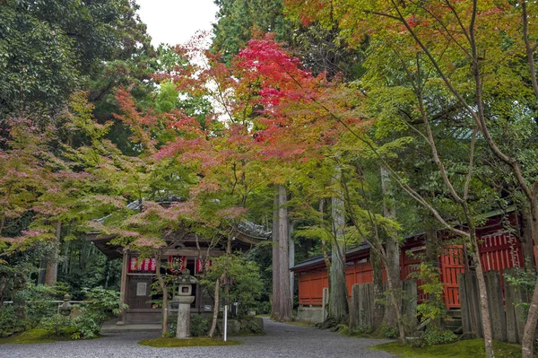 Sekizan Zen-in, Japanse tempel in Kyoto tijdens de herfst — Stockfoto