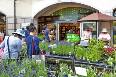 Kobe, Japonya - Nisan 2016: bitkisel Market, Nunobiki ot bahçe Kobe, Japonya Rokko Dağı üzerinde satılan bitkisel bitkiler