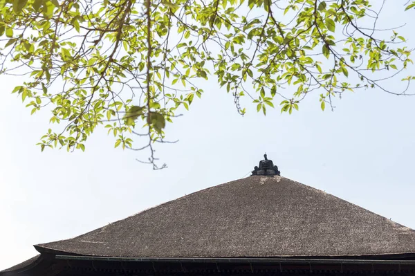 Edificio tradicional japonés de techo de paja con rama de árbol en primer plano —  Fotos de Stock