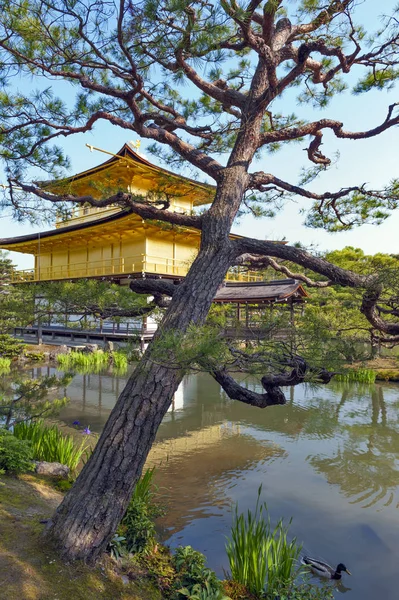 Kinkaku-ji ou le pavillon d'or situé au temple Rokuon-ji à Kyoto, Japon — Photo