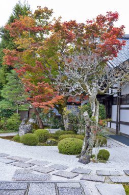 Sonbahar sırasında Japon kırmızı akçaağaç ağaç bahçe Enkoji Tapınağı: Kyoto, Japan