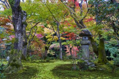 Kasuga doro veya taş fener sonbahar sırasında Japon akçaağaç Garden'da Enkoji Tapınağı, Kyoto, Japonya