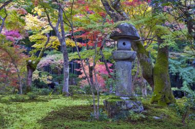 Kasuga doro veya taş fener sonbahar sırasında Japon akçaağaç Garden'da Enkoji Tapınağı, Kyoto, Japonya
