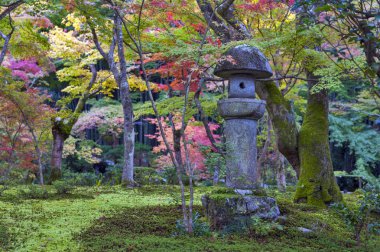 Kasuga doro or stone lantern in Japanese maple garden during autumn at Enkoji temple, Kyoto, Japan clipart