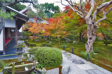 Sonbahar sırasında Japon kırmızı akçaağaç ağaç bahçe Enkoji Tapınağı: Kyoto, Japan