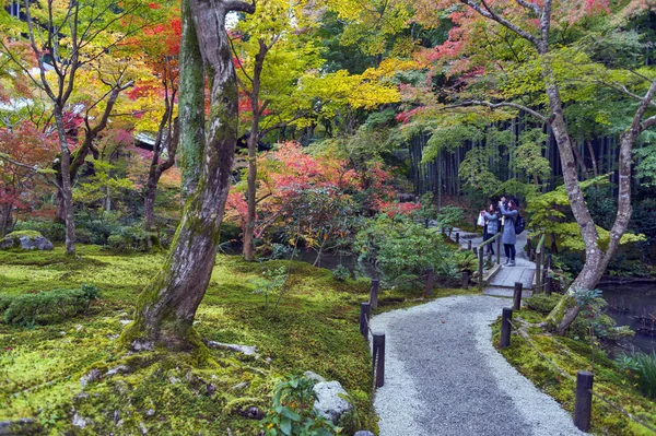 Kyoto, Japonya - Kasım 2016: Sonbahar Japon kırmızı akçaağaç ağaç bahçe Enkoji Tapınağı: Kyoto, Japan — Stok fotoğraf