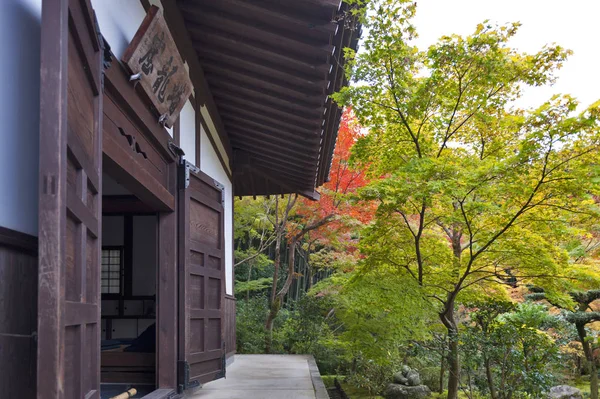 Kyoto, Japon - Novembre 2016 : Érable rouge japonais pendant l'automne dans le jardin au temple Enkoji à Kyoto, Japon — Photo