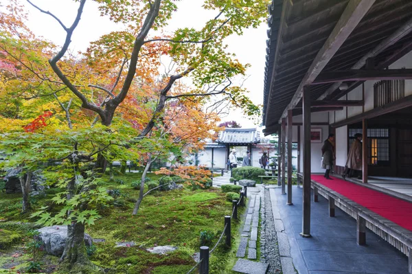 Kyoto, Japan - November 2016: Japanese red maple tree during autumn in garden at Enkoji temple in Kyoto, Japan — Stock Photo, Image