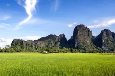 Yeşil pirinç çeltik alan ve Vang Vieng, popüler turistik tatil beldesi Lao Demokratik Halk Cumhuriyeti içinde kalker Dağları.