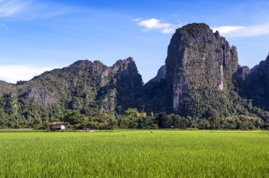 Yeşil pirinç çeltik alan ve Vang Vieng, popüler turistik tatil beldesi Lao Demokratik Halk Cumhuriyeti içinde kalker Dağları.