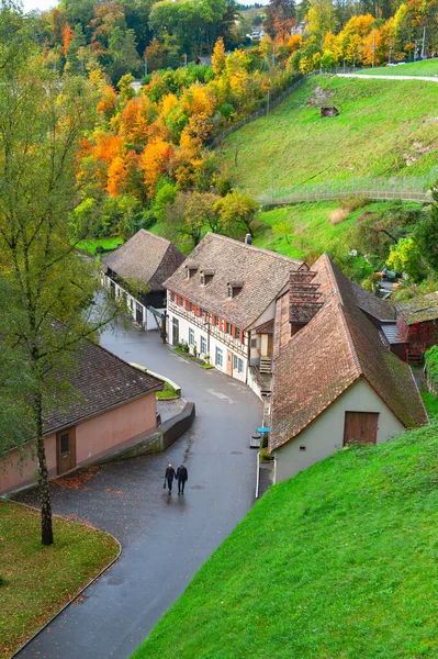 Scénická Krajina Švýcarské Vesničky Ležící Blízkosti Rýnských Vodopádů Řeky Rýn — Stock fotografie