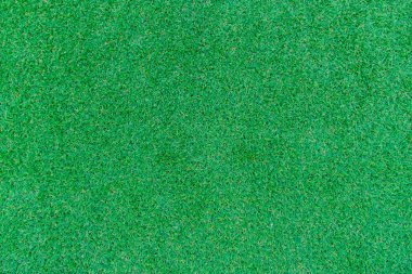 Yeşil Çimen Arkaplanı