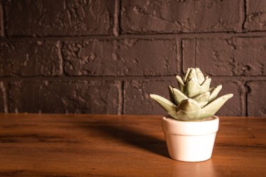 Masanın üzerinde kaktüs şeklinde küçük bir hatıra var.