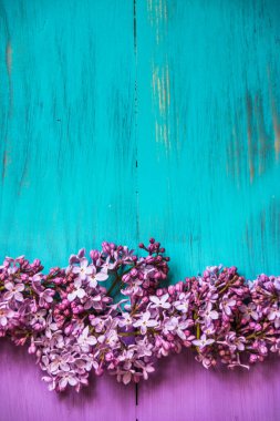 mor ve turkuaz renginde ahşap bir zemin üzerinde bahar leylağı.