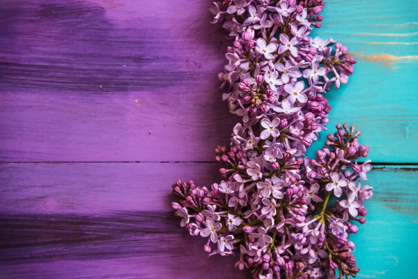 Весняний Бузковий Дерев Яному Фіолетовому Фоні — стокове фото