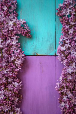 mor ve turkuaz renginde ahşap bir zemin üzerinde bahar leylağı.
