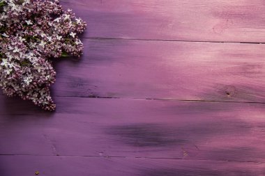 Ahşap, mor arka planda bahar leylağı.